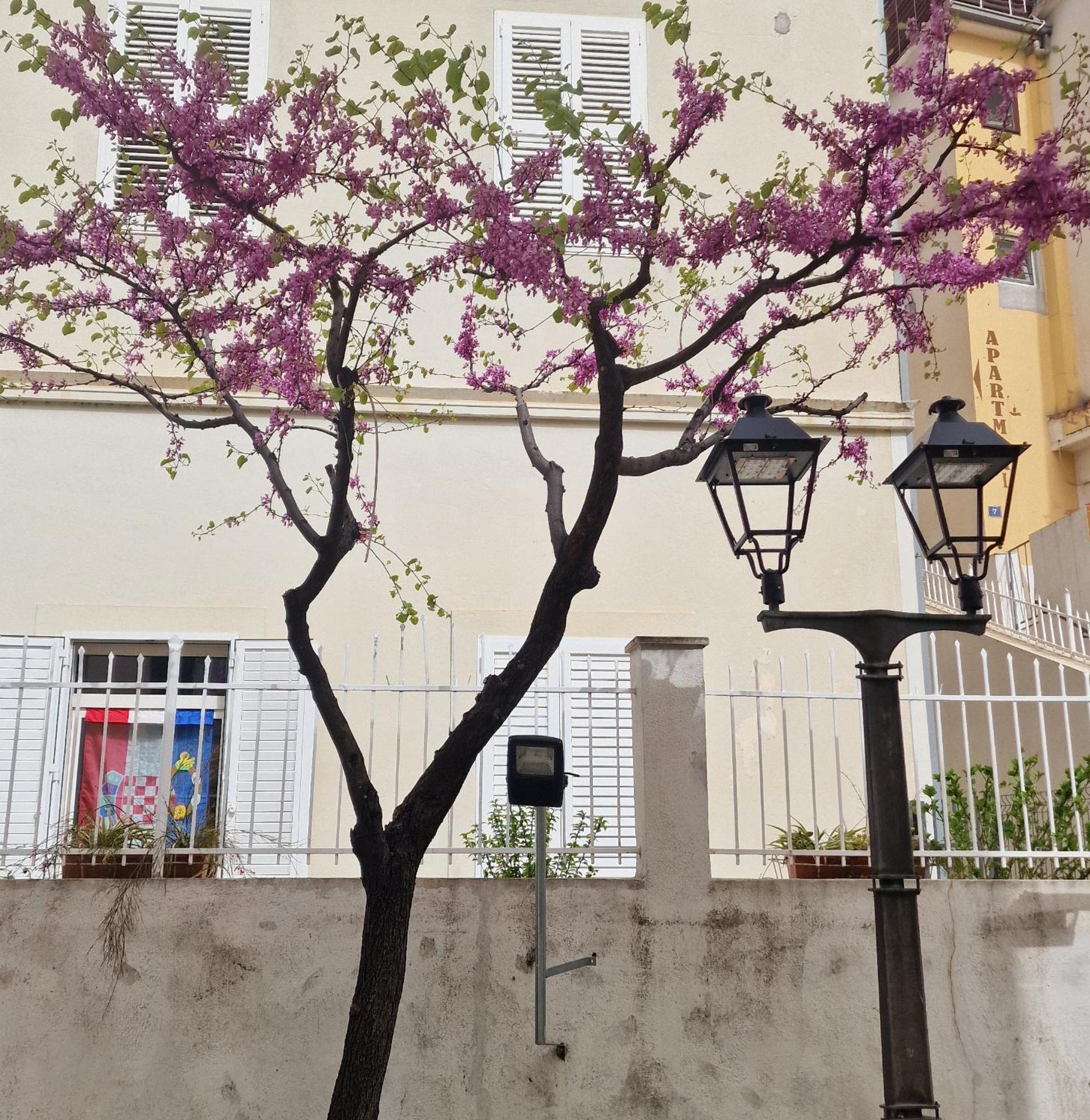 Old Town Apartment Omiš Eksteriør bilde